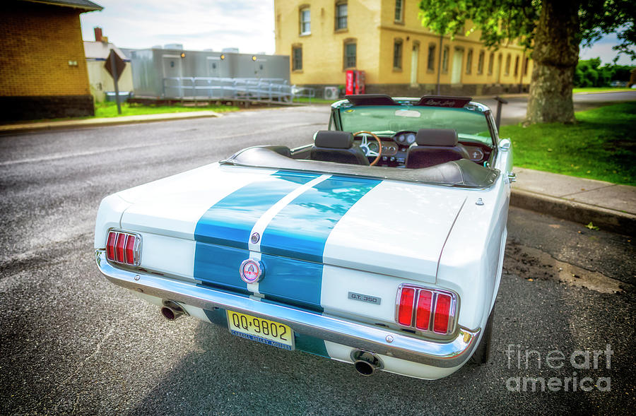 Ford Shelby Mustang GT350 at Sandy Hook Photograph by John Rizzuto