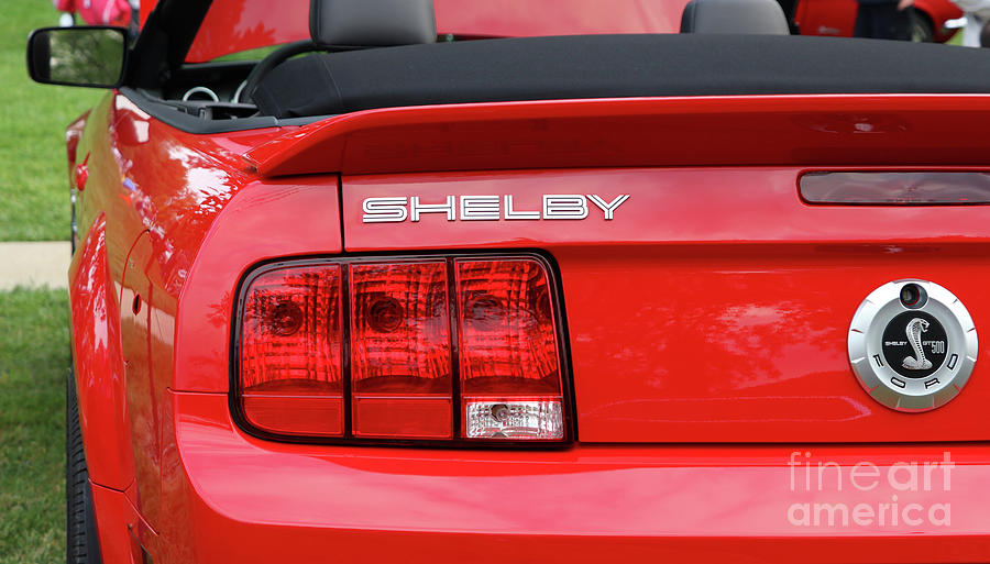 Ford Mustang Shelby GT 500  8841 Photograph by Jack Schultz
