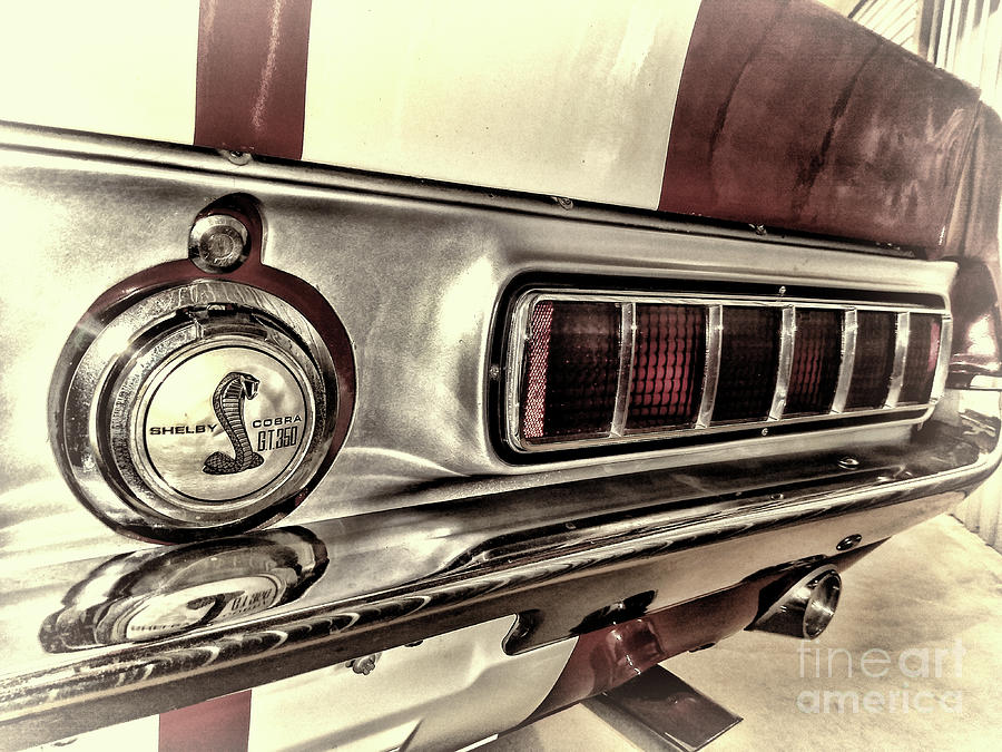 Transportation Photograph - Ford Shelby Cobra GT350 In Your Face artistic by Paul Ward