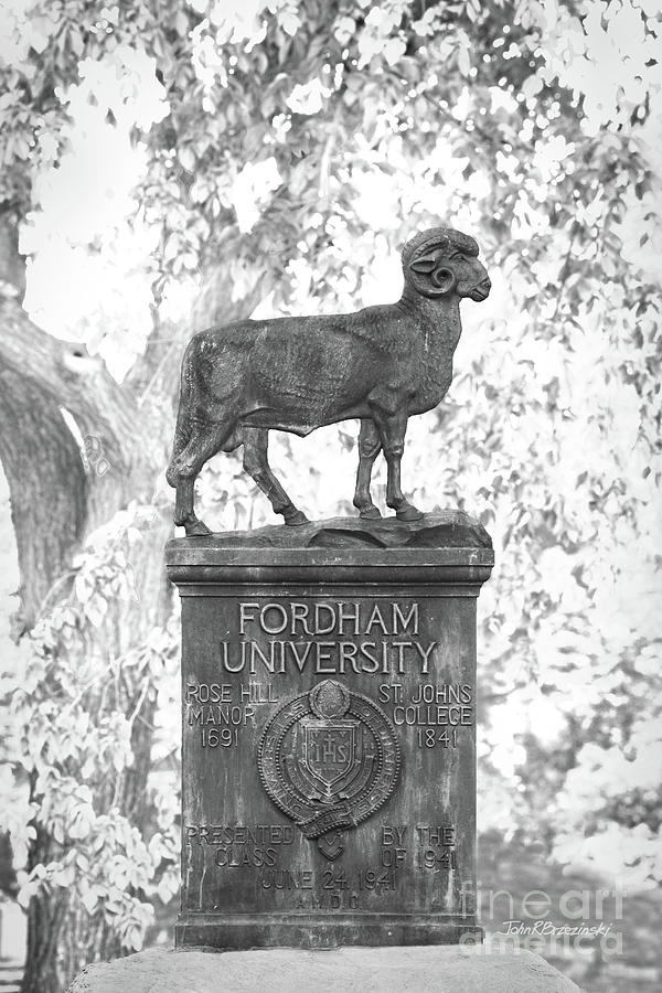 Fordham University Ram Statue Photograph by University Icons