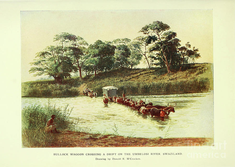 Fordin Umbelosi River, Swaziland a1 Drawing by Historic Illustrations