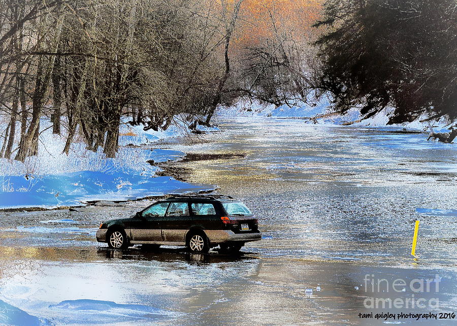 Fording Winter Photograph by Tami Quigley
