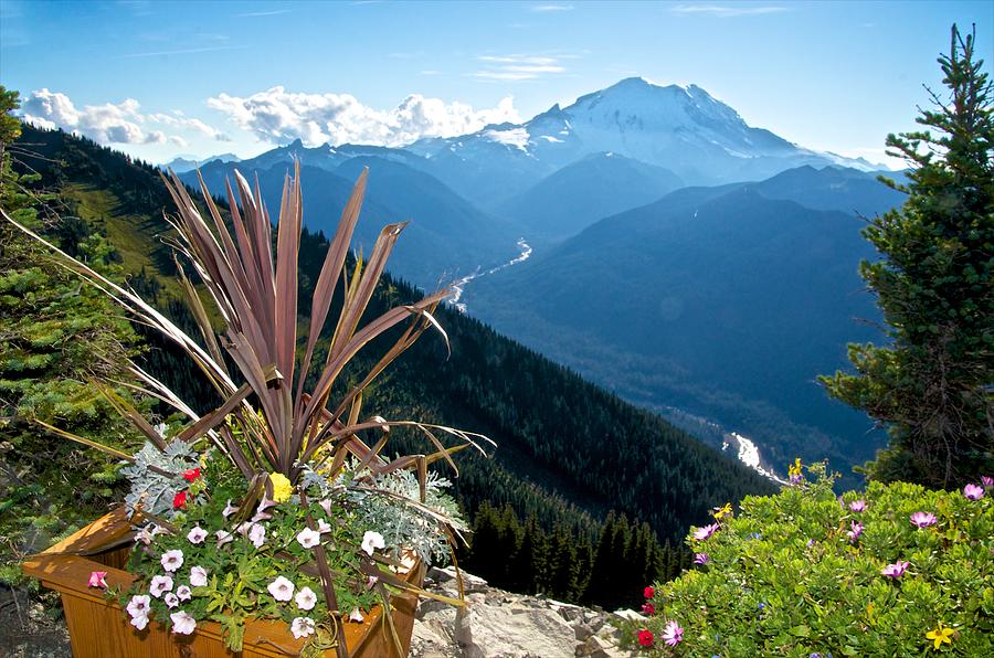  Foreground  Middleground Background  Photograph by Rudolf 