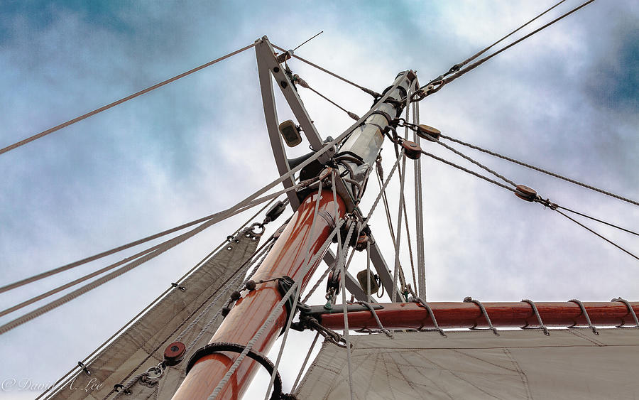Foremast Photograph by David Lee