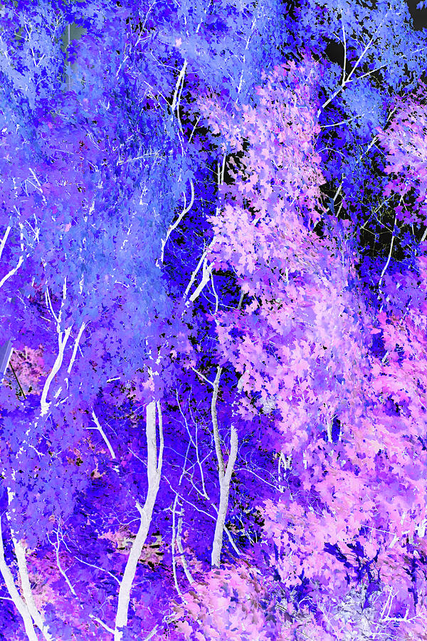 Forest Abstract in Purple and Pink 102922 Photograph by Mary Bedy