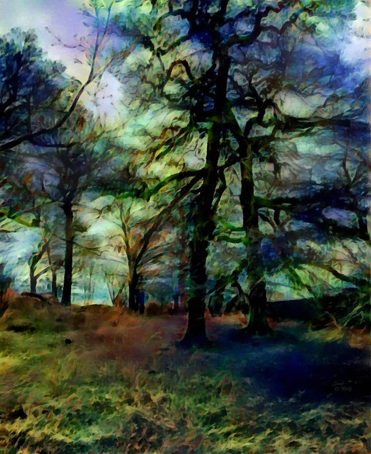 Forest As The Sun Sets Mixed Media by Sandi OReilly