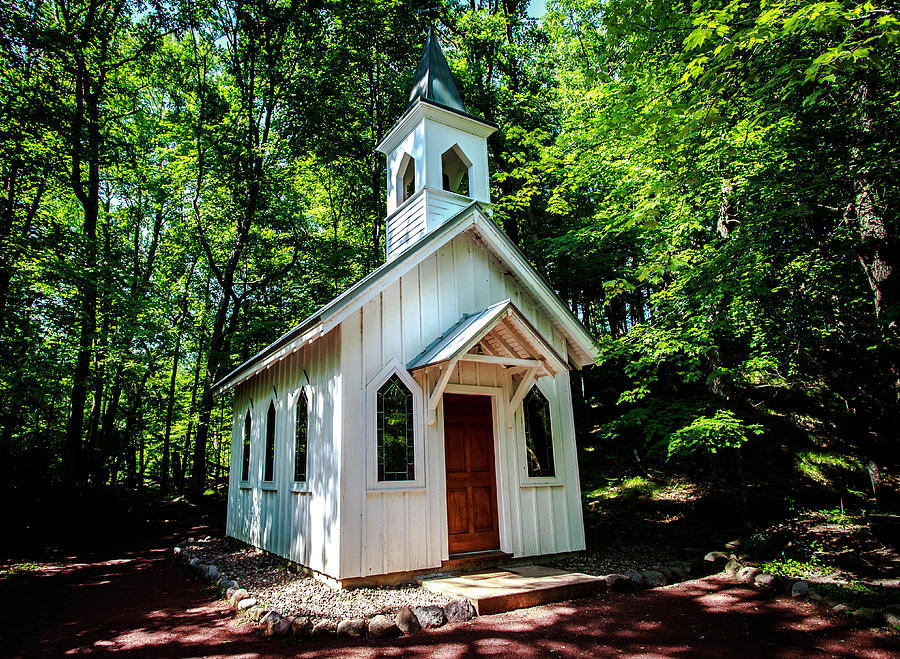 Forest Chapel Photograph by Neal Nealis