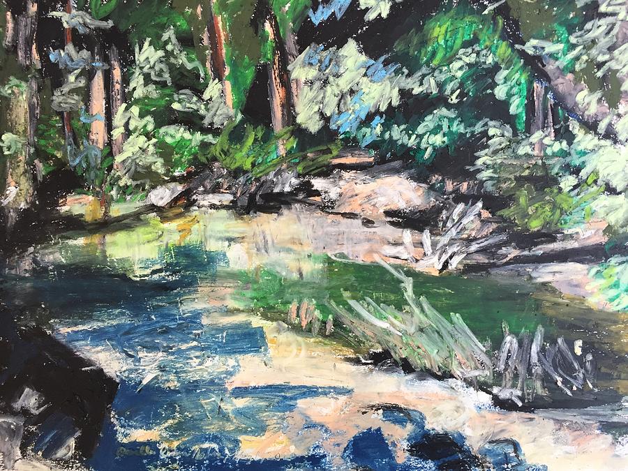 Forest Creek In Yosemite Valley, CA Pastel by Danielle Rosaria
