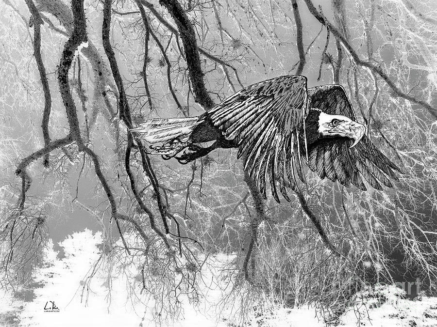 Forest Eagle Mixed Media