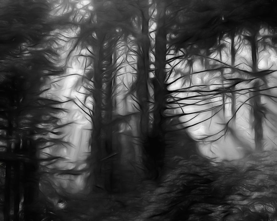 Forest Energy Photograph by Iina Van Lawick