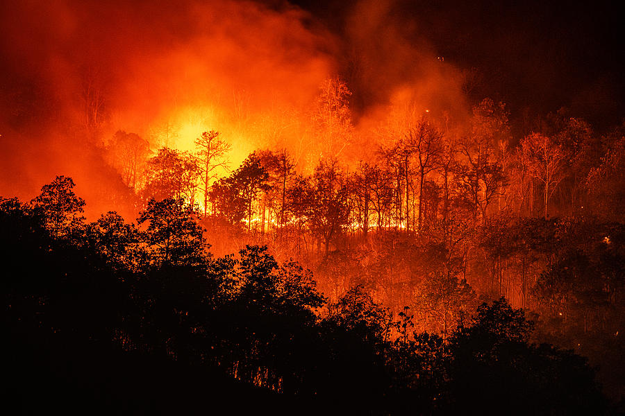Forest fire wildfire at night time on the mountain with big smoke Photograph by Mack2happy
