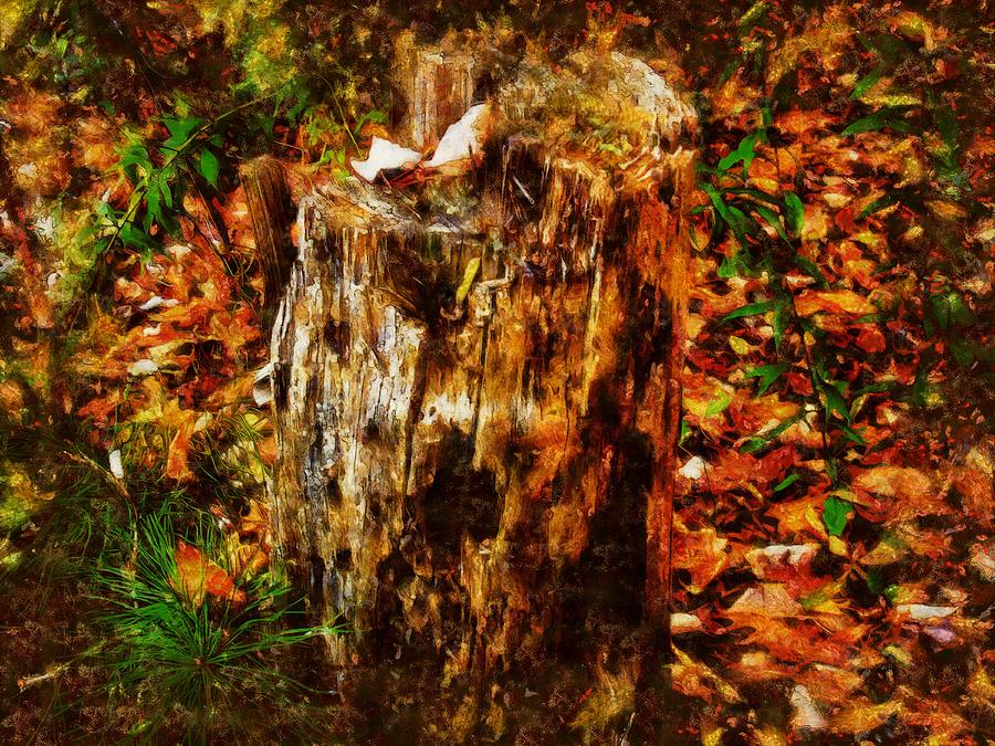 Forest Floor in Autumn Mixed Media by Christopher Reed