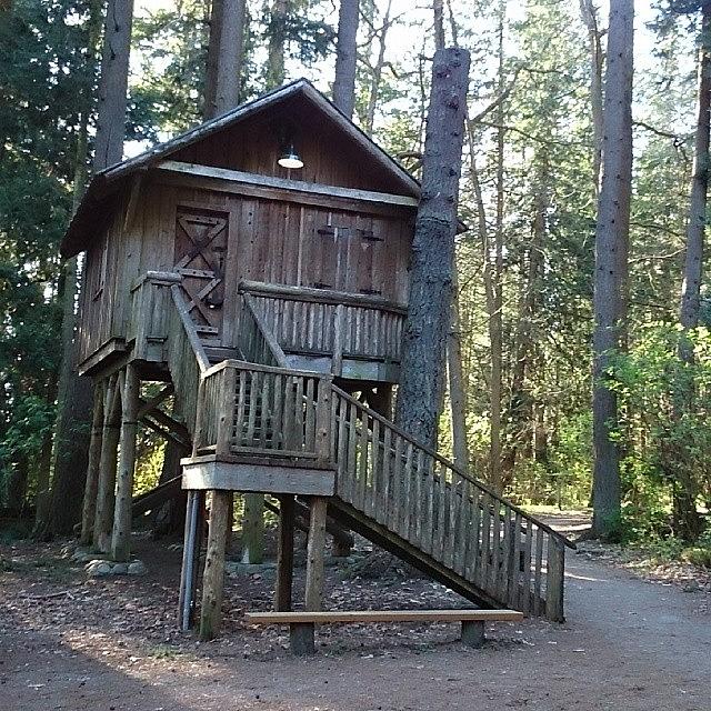 Forest Hideaway Photograph By James Cousineau   Fine Art America