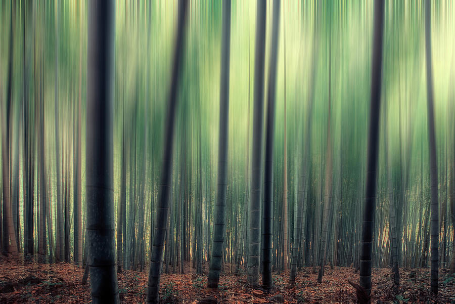 Abstract Digital Art - Forest in Kyoto by Manjik Pictures