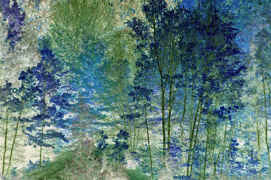 Forest in Springtime Abstract Photograph by Terri Gostola