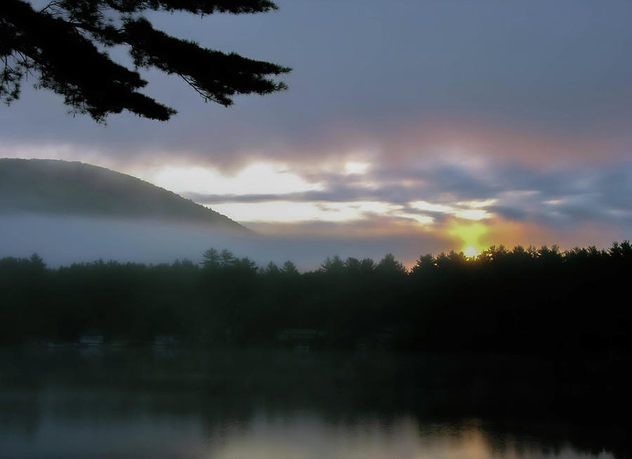 Forest Lake Sunrise Photograph by George Pennington