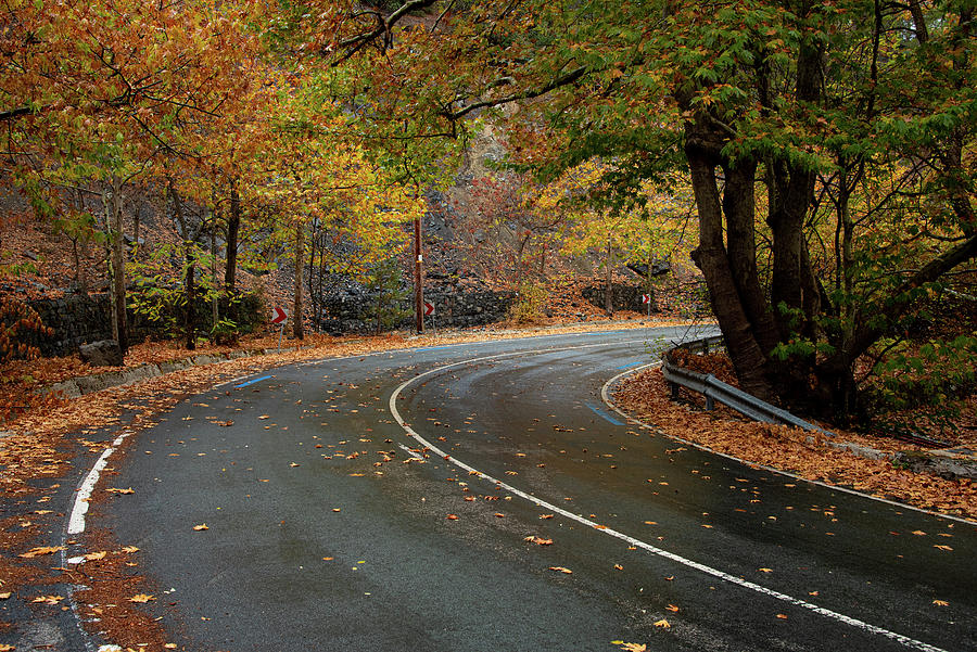 Forest landscape, yellow trees and empty curved road in autumn Photograph by Michalakis Ppalis