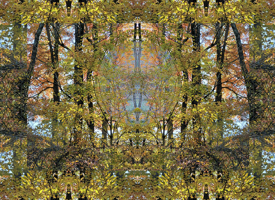 Forest Leaf Light Portal Digital Art by Laura Davis