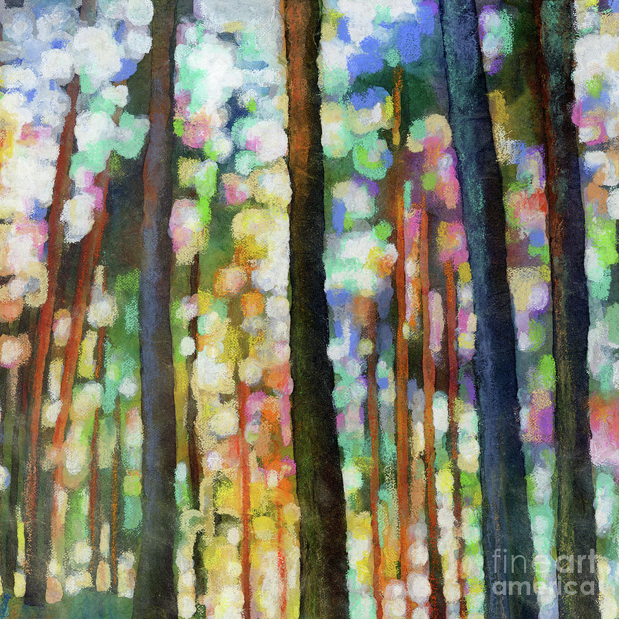 Forest Light - Bokeh Painting by Hailey E Herrera