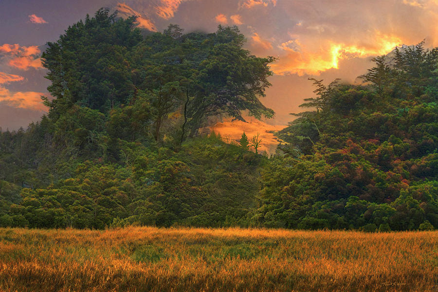 Forest Meadow Sunset Photograph by Frank Wilson