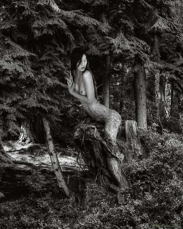 Forest Mermaid Photograph
