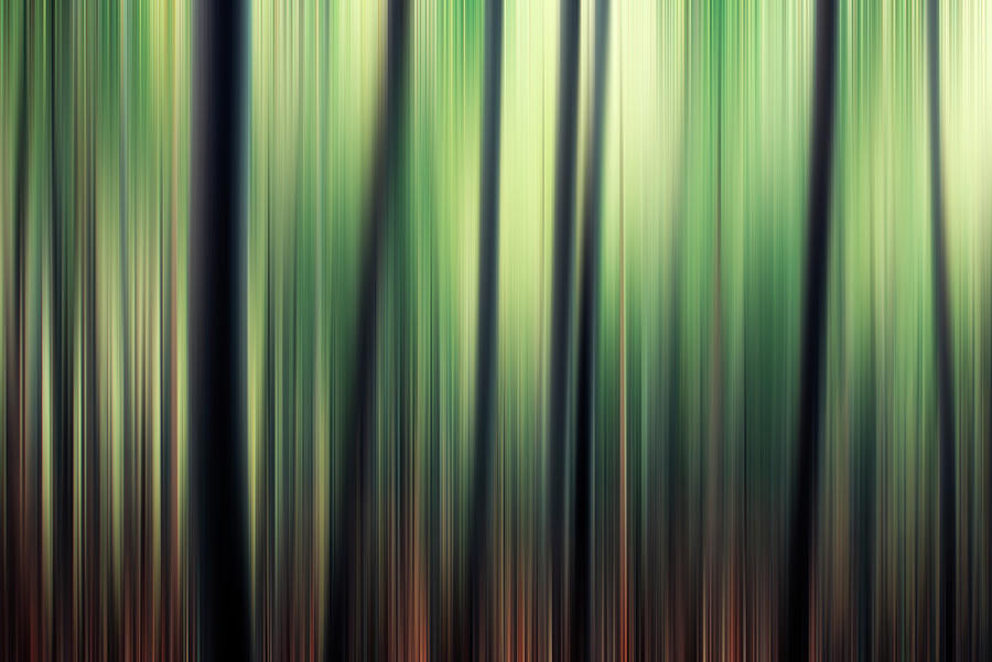 Forest Mood Digital Art
