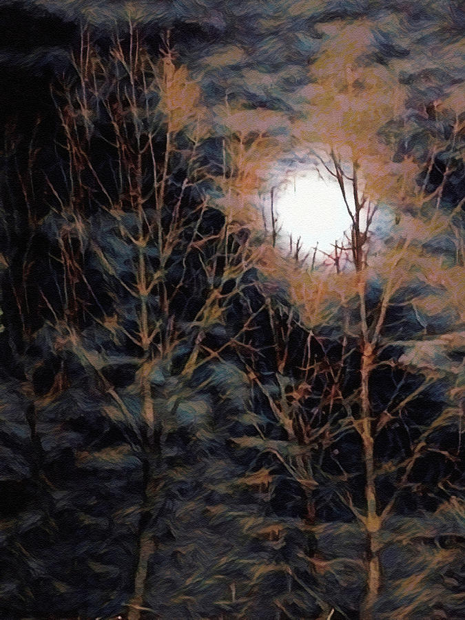 Forest Moon Digital Art by Ernest Echols