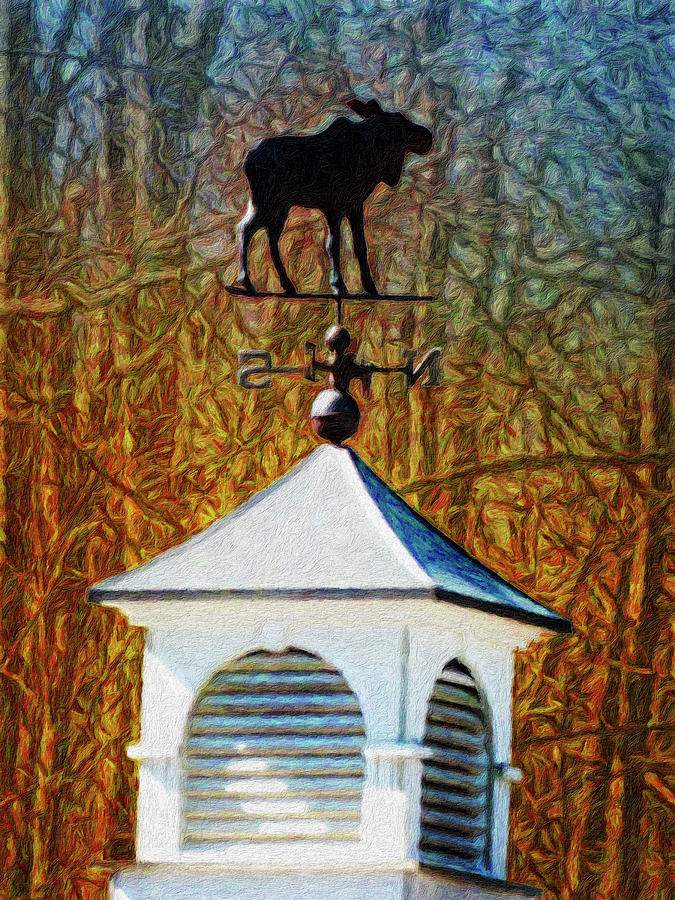 Forest Moose Weather Vane Photograph by Leslie Montgomery