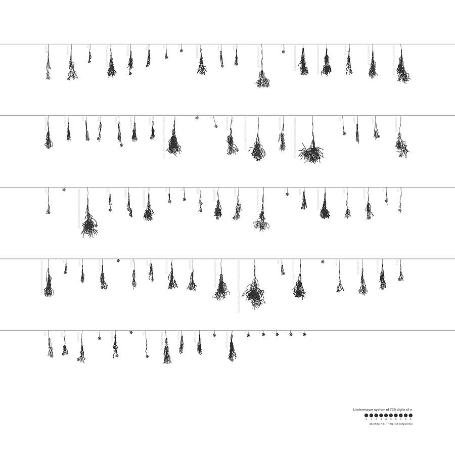 Forest of the digits of Pi Batcave Digital Art by Martin Krzywinski