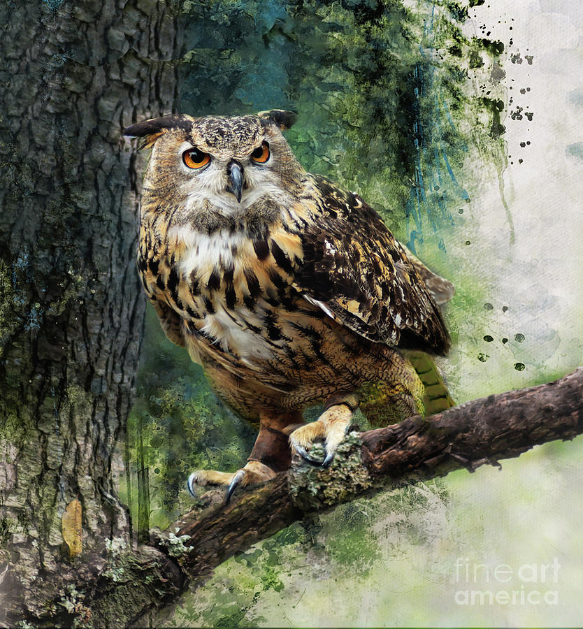 Forest Owl Mixed Media by Kathy Kelly