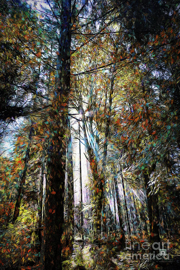 Forest Painterly Digital Art by Deb Nakano