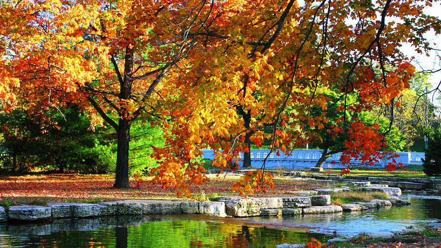 Forest Park Fall Trees Color Stream Landscape Photograph by Patrick Malon