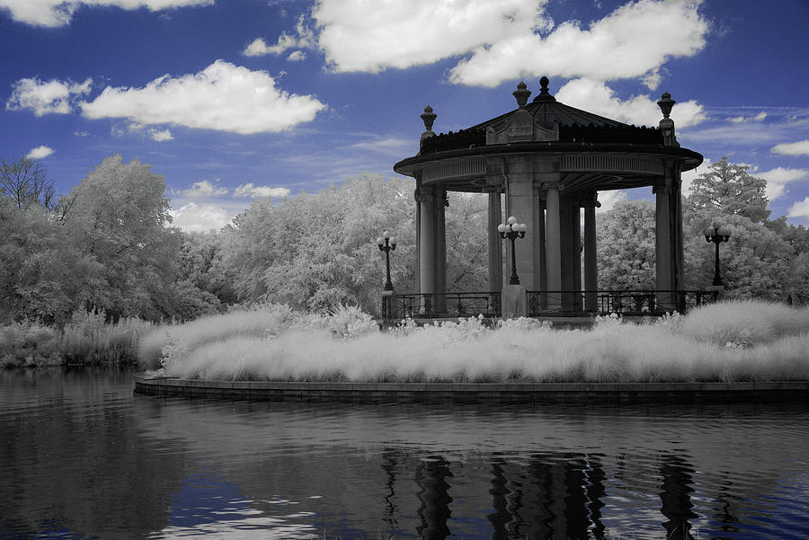 Forest Park in Infrared 5 Photograph by Lynda Fowler