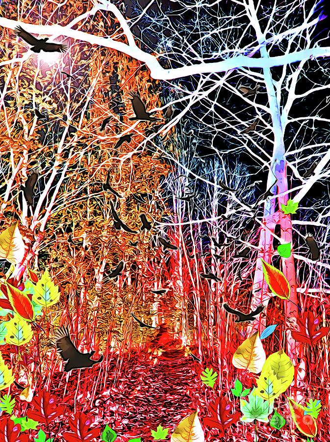 Fall Digital Art - Forest Path  by Daniel Janda