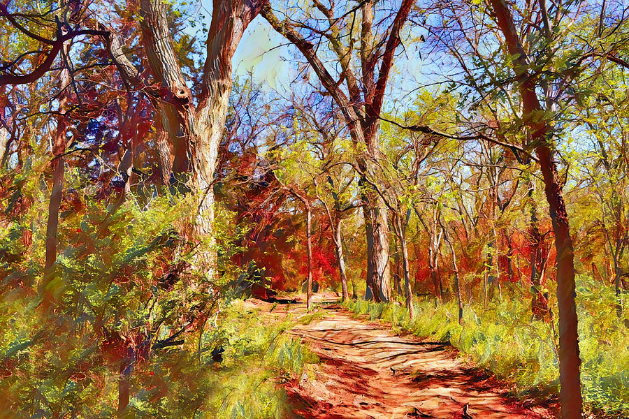 Forest Path Impressionist Digital Art Digital Art