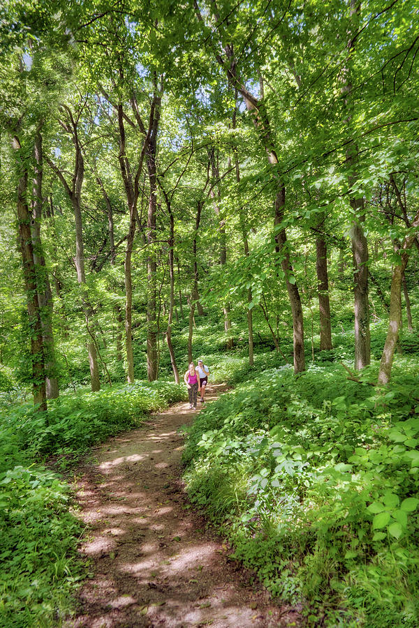 Forest Path - With Hikers - Nebraska Photograph by Nikolyn McDonald