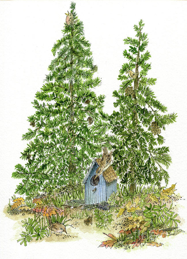 Forest Pines Birdhouse Woodland Watercolor Painting by Laurie Rohner