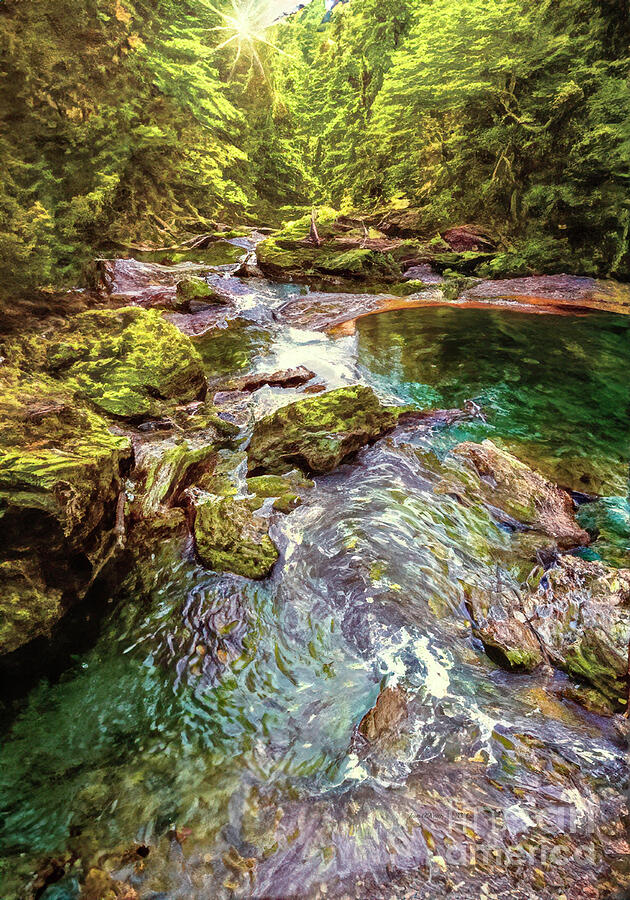 Forest Pond Digital Art by Macro Abundance Art Forest Pond Digital Art by Macro Abundance Art