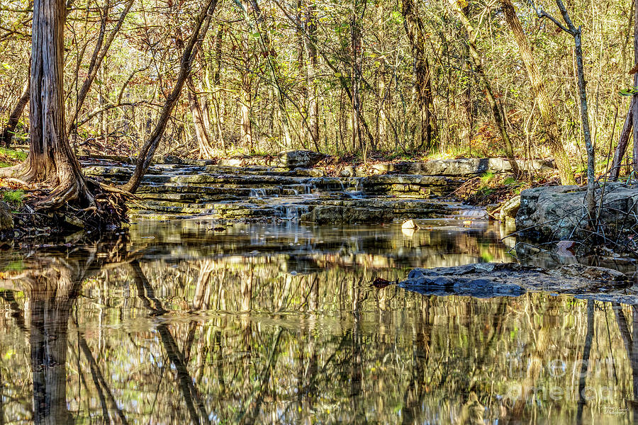 Forest Reflections At Henning Conservation Photograph by Jennifer White