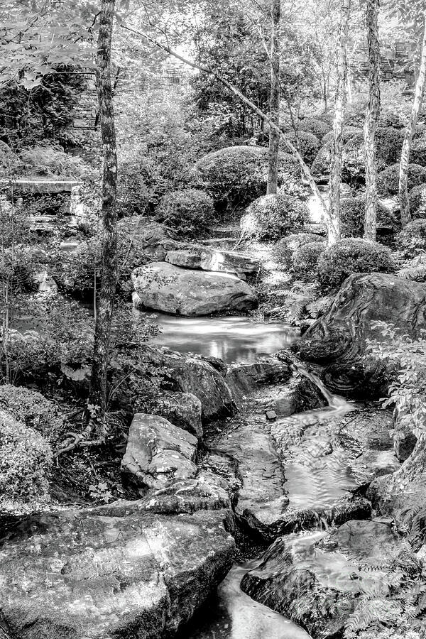 Forest Rock Garden Waterfall Grayscale Photograph by Jennifer White Forest Rock Garden Waterfall Grayscale Photograph by Jennifer White