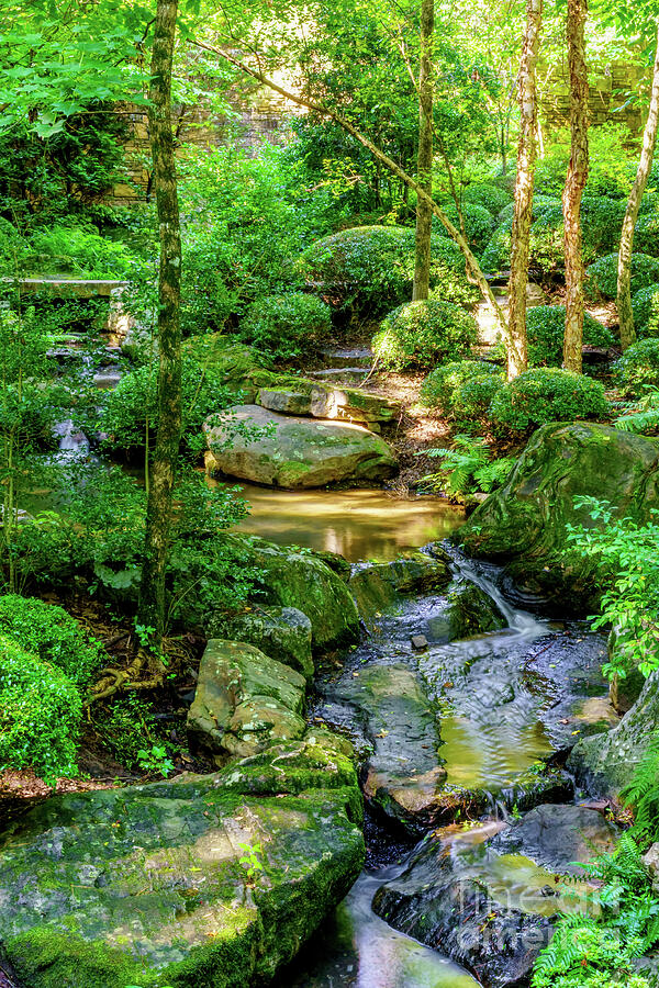 Forest Rock Garden Waterfall Photograph by Jennifer White Forest Rock Garden Waterfall Photograph by Jennifer White