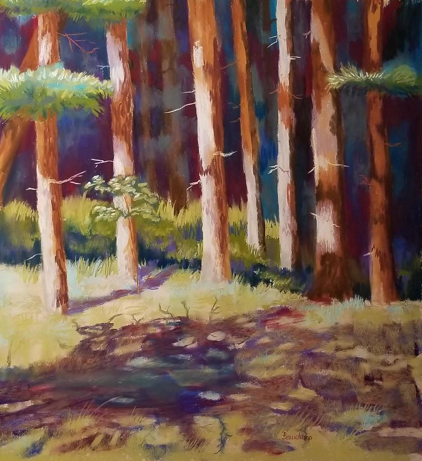 Forest Shadows Pastel by Nancy Beauchamp