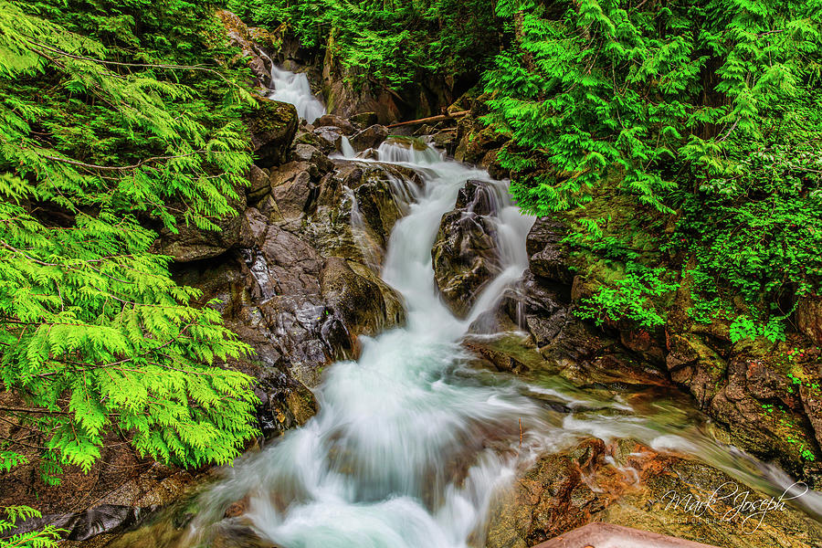 Forest Stream II Photograph by Mark Joseph