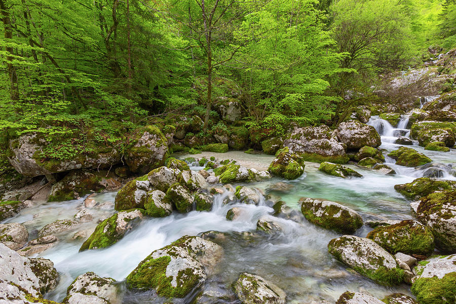 Forest stream in mountains at spring Photograph by Mikhail Kokhanchikov