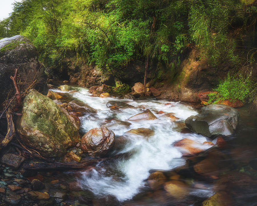 Nature Photograph - Forest Stream by Joshua Small