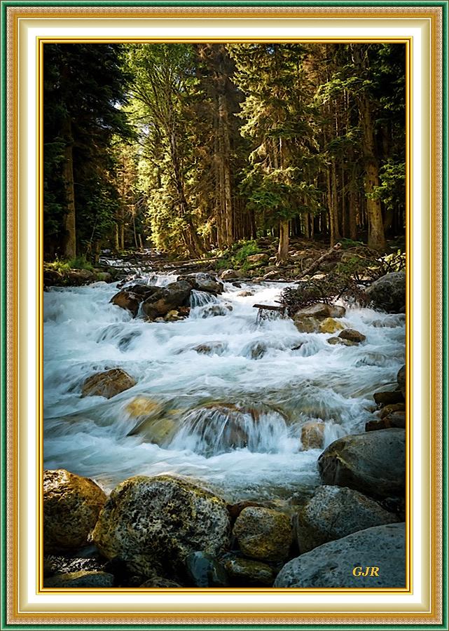 Forest Stream - Winterton Park L A S With Printed Frame. Digital Art