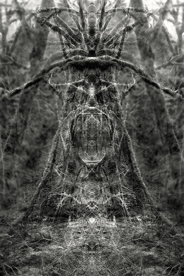 Forest Totem Photograph