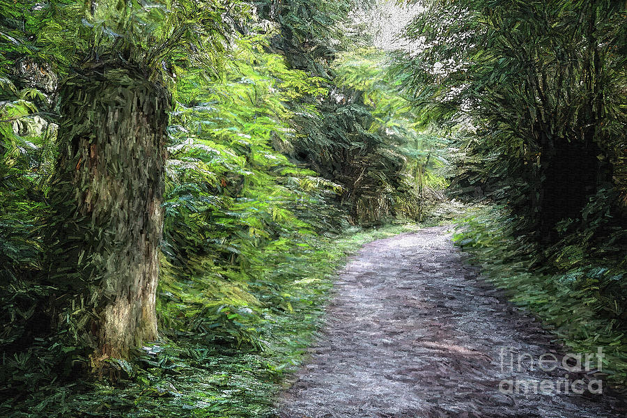 Forest Trail Digital Art by Deb Nakano