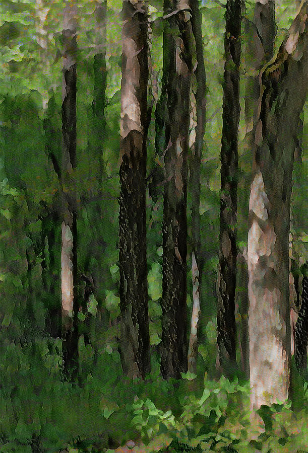 Forest Tree Trunks 1 DecorArt Photograph by Dan Carmichael