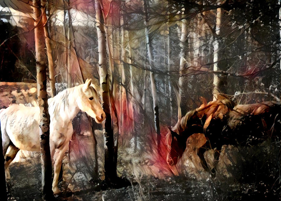Forest Tryst 5 Digital Art by Listen To Your Horse